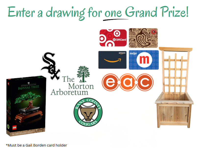 Image of grand prizes for adult summer reading